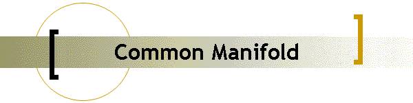 Common Manifold