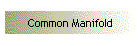 Common Manifold