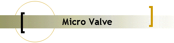 Micro Valve