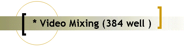 * Video Mixing (384 well )